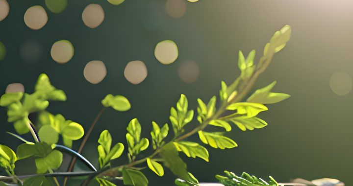 [112-NAT3] Naturopatia Applicata 3